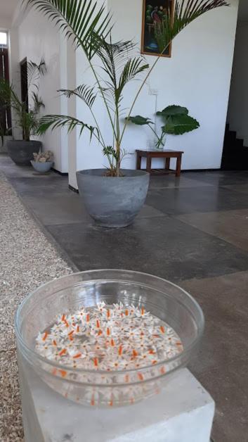 Akurala Beach Boutique Resort Ngoại thất bức ảnh