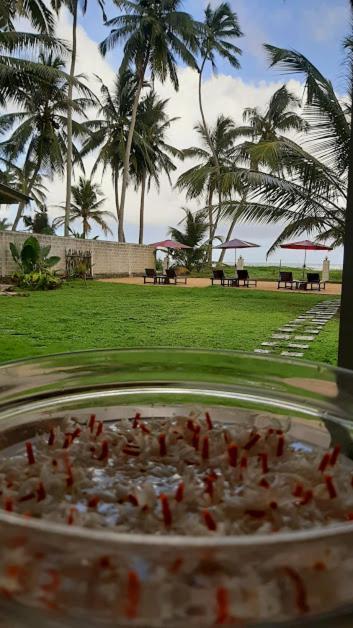 Akurala Beach Boutique Resort Ngoại thất bức ảnh