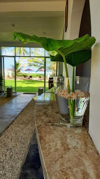 Akurala Beach Boutique Resort Ngoại thất bức ảnh